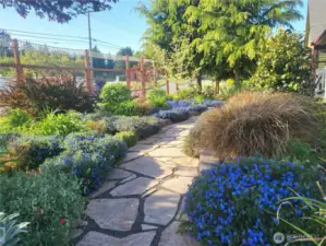 Curving stone path through mature, layered plantings and blooming groundcovers—colorful, low-maintenance front garden that welcomes you home.