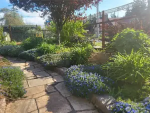 A gently curving stone walkway leads through lush, layered plantings and seasonal groundcover blooms—an irrigated front garden that’s both vibrant and easy to care for.