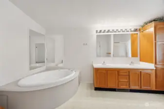 Corner soaking tub and walk-in shower in the enormous primary bathroom.