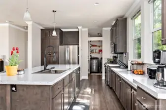 Kitchen is a chef's dream.