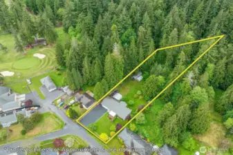 Overhead drone