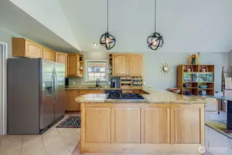 Chef's kitchen with island