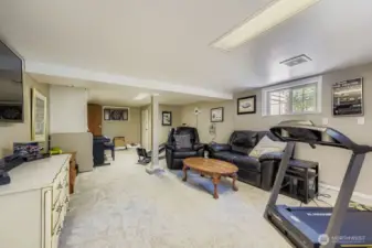 Basement multi-functional - TV room, exercise space