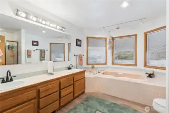 Master Bath w/jacuzzi tub