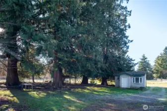 Park an RV or trailer on the property, which is fully gated, and enjoy the peaceful shade with a playground area.