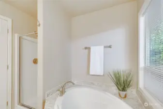 The separate walk-in shower adds an extra touch of luxury to the primary suite.