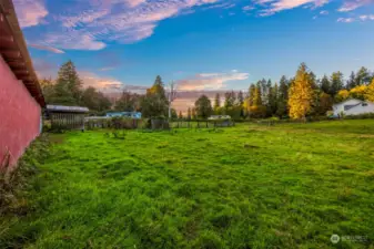 Fenced pasture