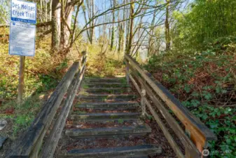 Des Moines Creek trail is a few houses down, and takes you down to beach!!
