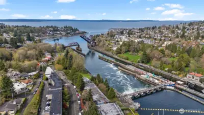Ballard Locks