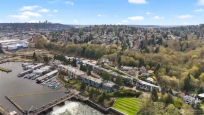 Ballard Locks