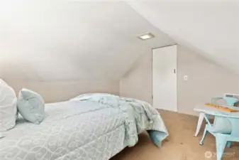 New Carpet
