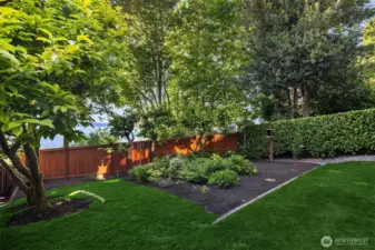 A fabulous fruit bearing garden with cherries, blueberries...