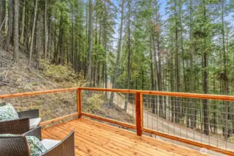 Deck off Primary Bedroom