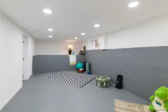 Basement Bonus Room with attached Bathroom