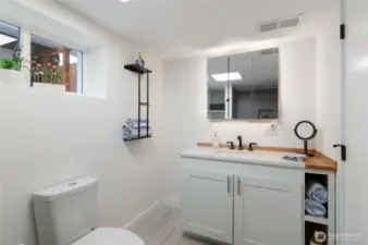 Basement Bathroom