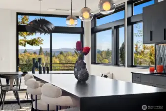 Leather absolute black granite countertops.