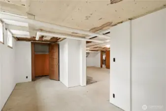 Unfinished Basement