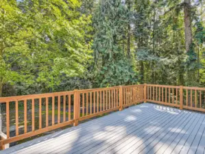 New Deck off off the kitchen family room with stunning views of natural preserve with complete privacy.