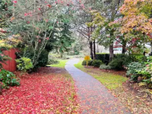 Path to Sammamish River trail, a scenic greenway passing thru Redmond, Woodinville, and Bothell