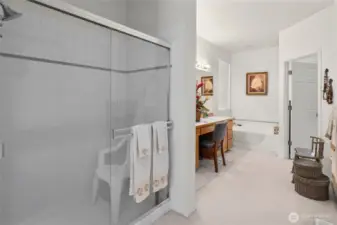 Primary bathroom looking into the soaking tub vanity area and walk in closet.