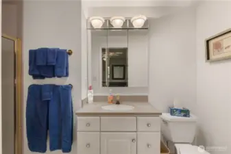 Primary ensuite