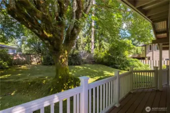 Back Deck