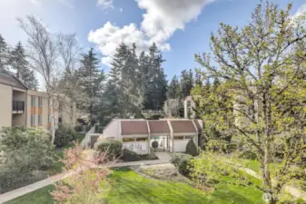 Lush Color-Changing Landscaping View Year-Round