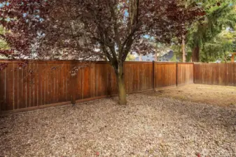 Fully Fenced Low Maintenance Backyard