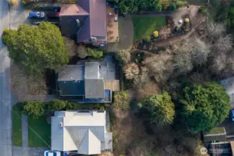 Large back yard greenbelt. Bring back the garden and mutiple trees and bushes that have been lost over time.