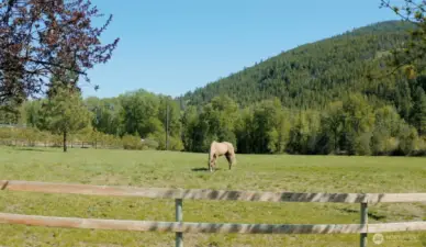 Equestrian ready!  In fact horses can drink straight from the river!