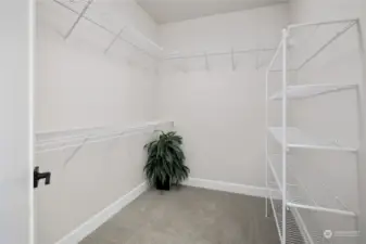 Primary walk-in-closet