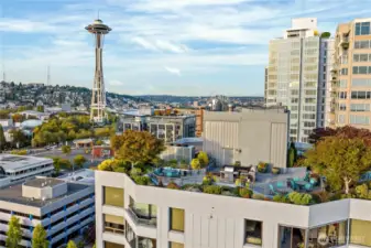 Aerial of the rooftop deck