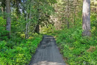 Freshly graveled private driveway