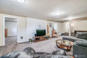Lower Additional Living Area with Firepace