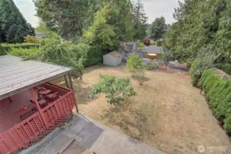 Large level lot boasts figs, pear/apples, and an herb garden