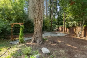 Firepit area