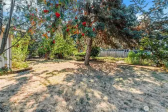 Side of yard, lot's of nice room. Great for a veggie garden!