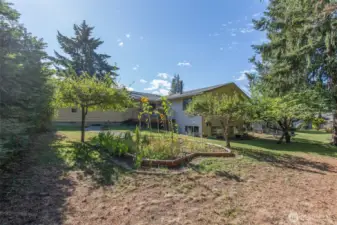 Backyard, garden areas & fruit trees
