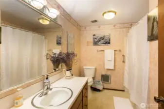 Hall bath