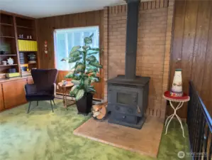 Stand alone wood stove