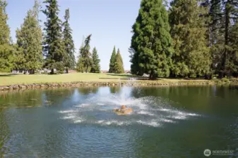 Sunland fountain