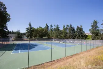 Tennis & pickleball courts