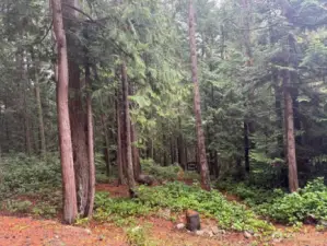 Looking down slope from entry