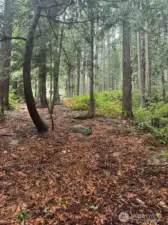 From Southeast looking up toward entry