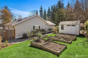 Sun filled side yard with established garden beds and a large shed