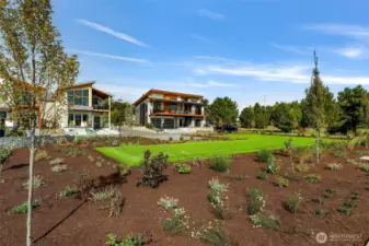 Common Area Landscaping