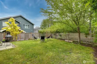 See the description for what kind of fruit trees are planted!