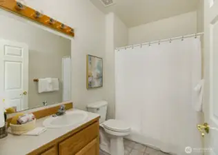 Lower level 3/4 bath