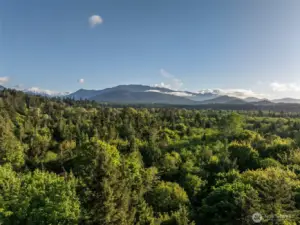 Views of the Elwha River Valley