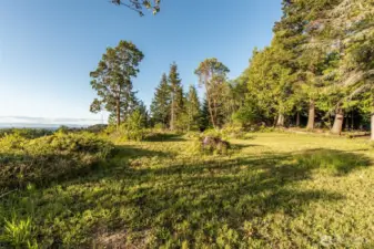 Bluff Edge View